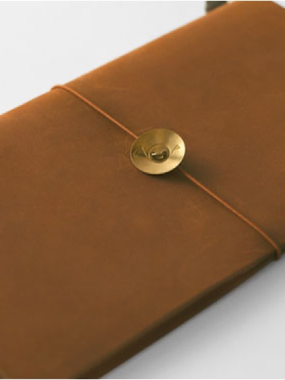 Traveler’s Company Gekkoso Golden Large and Small Button Set